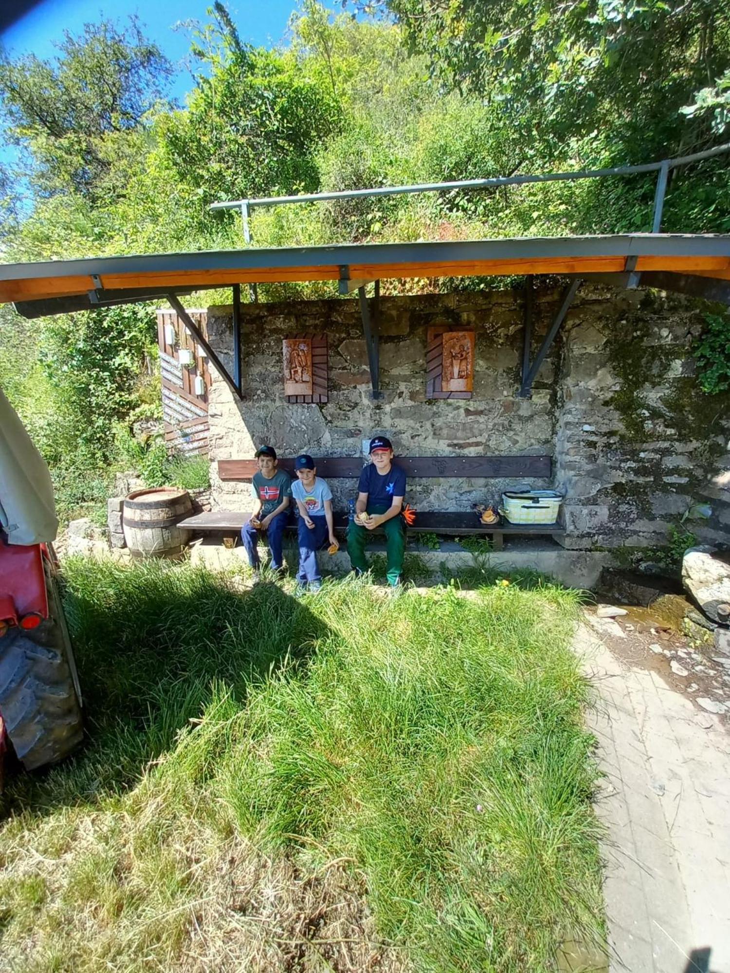 Ferienhaus Heimes Klotten Buitenkant foto