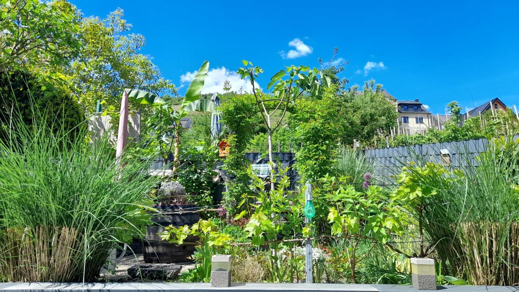 Ferienhaus Heimes Klotten Buitenkant foto